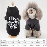 Thin Pet Sweater Hoodie