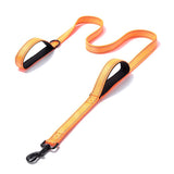 Double Handle Pet Leash