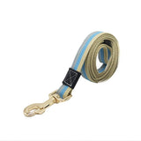 Thick Canvas Pet Dog Leash Set