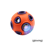 Interactive Pet Ball Toy