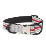 Personalized Pet Collar