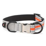 Personalized Pet Collar