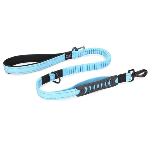 Multifunctional Dog Leash