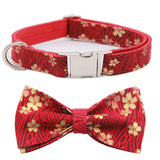 Elegant Pet Collar