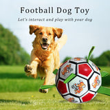 Pet Training Ball