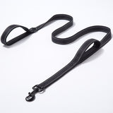 Double Handle Pet Leash