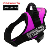 Nylon K9 Pet Harness