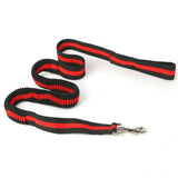 Elastic Dog Leash