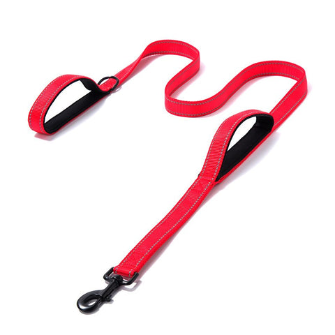 Double Handle Pet Leash