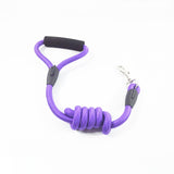 Solid Nylon Dog Leash