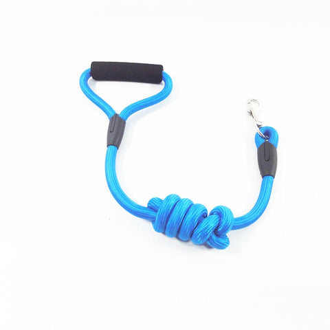 Solid Nylon Dog Leash