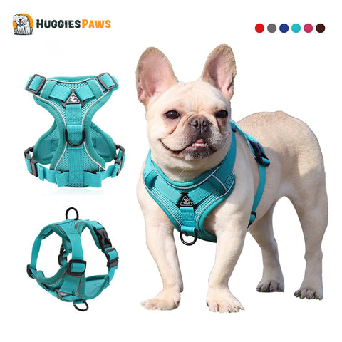 Adjustable Pet Harness Vest | Comfortable fit | Multiple variations of colors