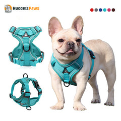 Adjustable Pet Harness Vest | Comfortable fit | Multiple variations of colors