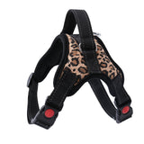 Adjustable Dog Harness