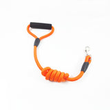 Solid Nylon Dog Leash