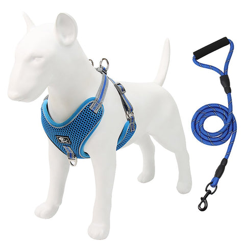 Reflective Dog Harness and Leash Set