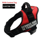 Nylon K9 Pet Harness