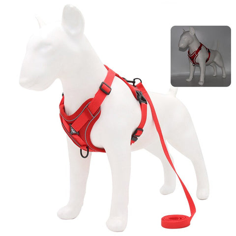 Adjustable Pet Harness Vest | Comfortable fit | Multiple variations of colors