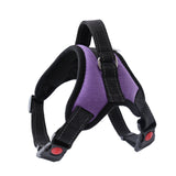 Adjustable Dog Harness