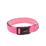 Nylon Pet Collar