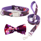 Elegant Pet Collar