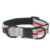 Personalized Pet Collar