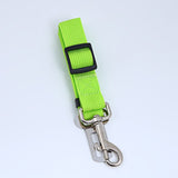 Safety Dog Belt