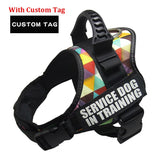 Nylon K9 Pet Harness