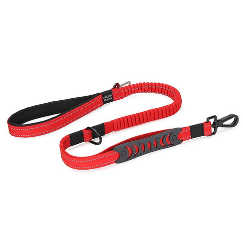 Multifunctional Dog Leash