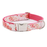 Elegant Pet Collar