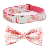 Elegant Pet Collar