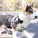 Pet Harness Vest