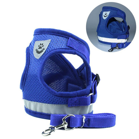 Breathable Pet Harness and Leash Set