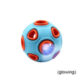 Interactive Pet Ball Toy