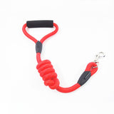 Solid Nylon Dog Leash