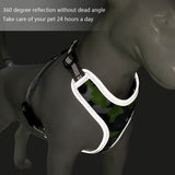 Pet Harness Vest