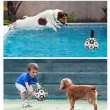 Pet Training Ball