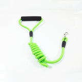 Solid Nylon Dog Leash