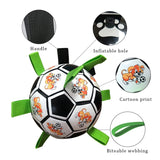 Pet Training Ball