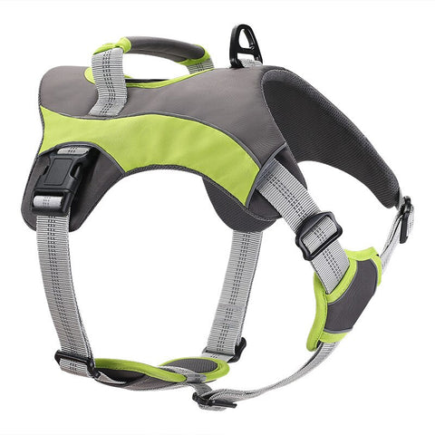 Nylon Adjustable Pet Harness