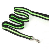 Elastic Dog Leash