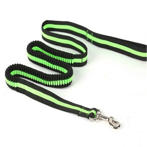 Elastic Dog Leash