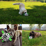 Pet Training Ball