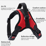 Adjustable Dog Harness