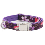 Elegant Pet Collar