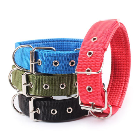 Adjustable Nylon Dog Collar