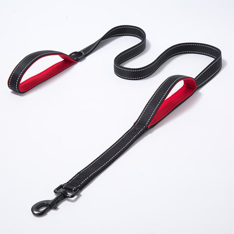 Double Handle Pet Leash