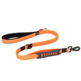 Multifunctional Dog Leash