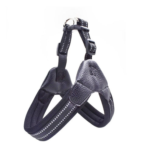 Breathable Pet Harness Set