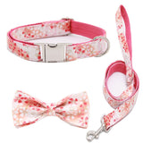 Elegant Pet Collar